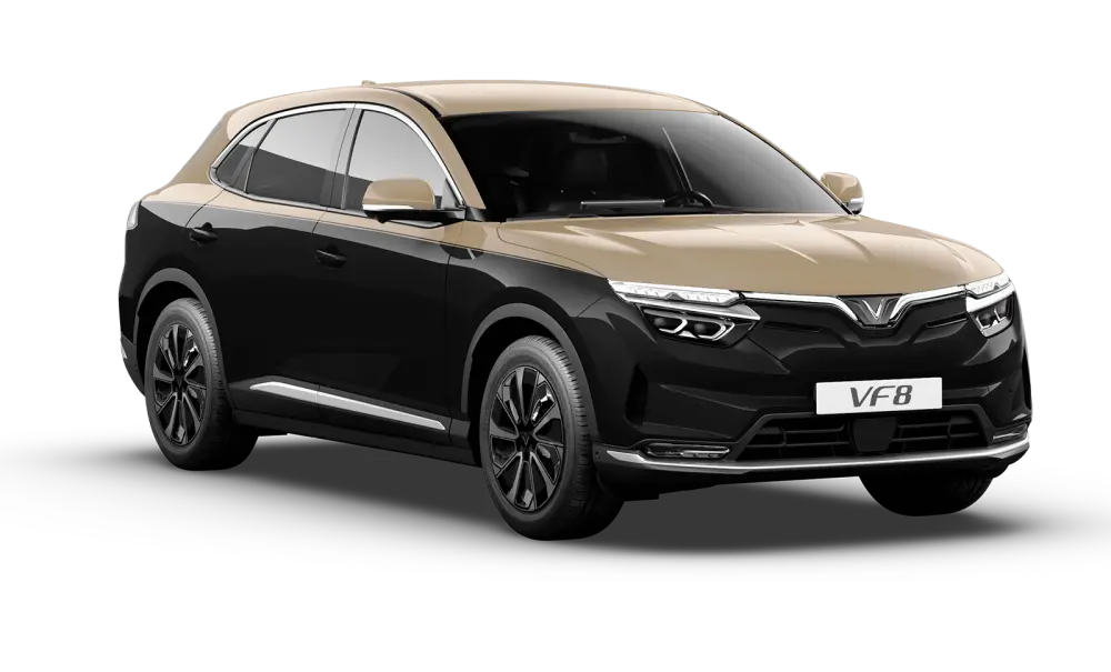 VF 8 Plus​